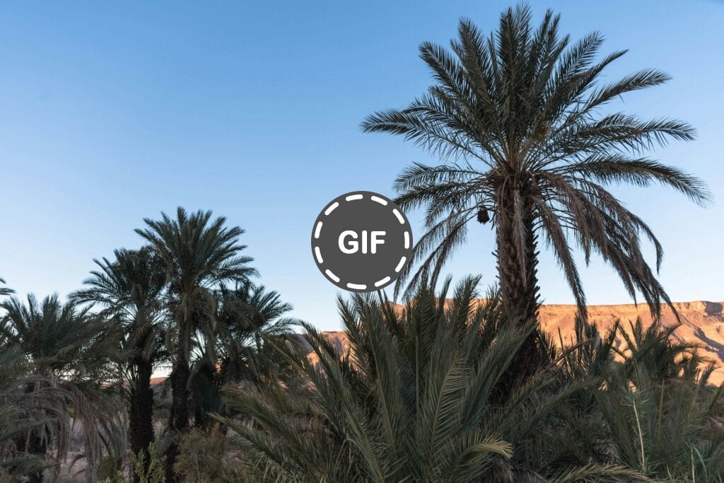 Circuits d'aventure dans le désert marocain
