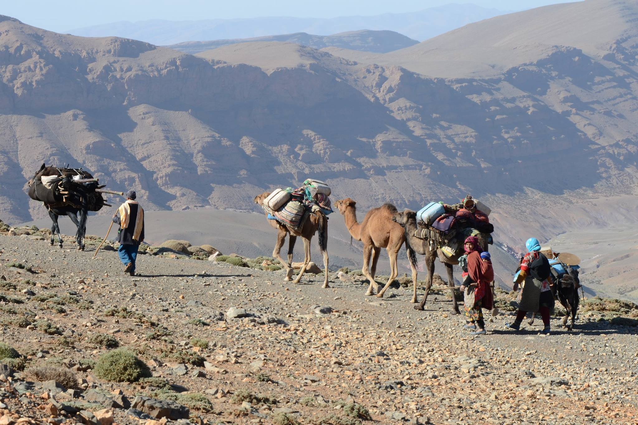Marchez sur les traces des nomades : parcourez la migration des Ait Atta – Asmaa Travel