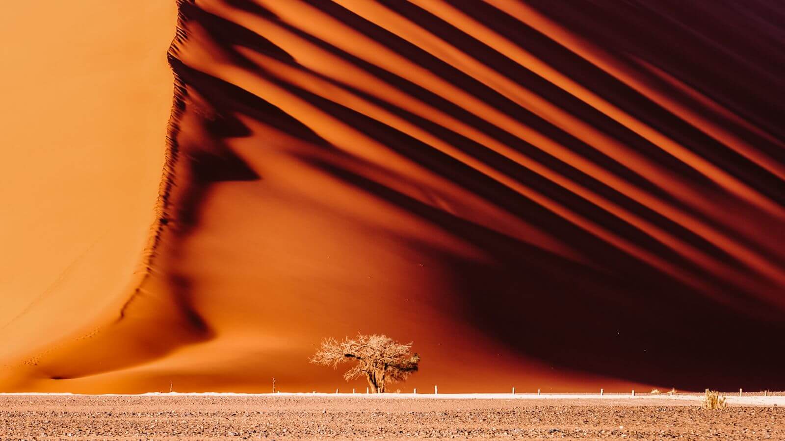 desert experience - Famous Deserts Around the World