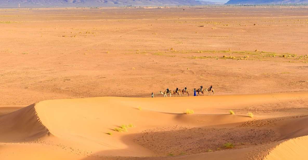 Experience the Magic of the Moroccan Desert: marrakech desert tours 2 days