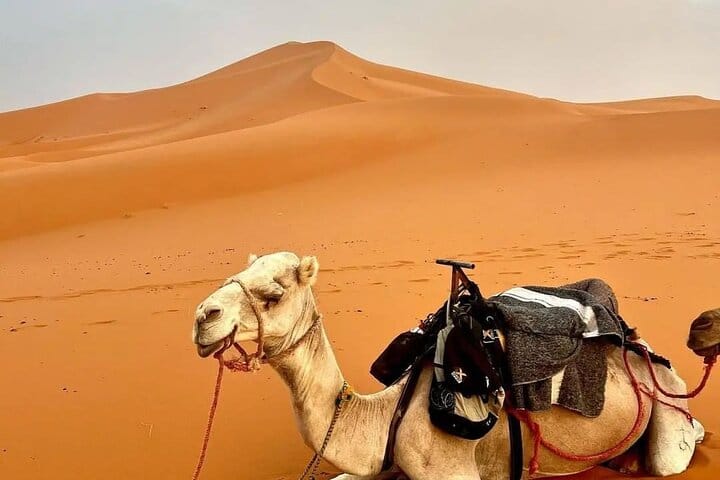 Exploring the Magic of Morocco: marrakech to merzouga tour Guide