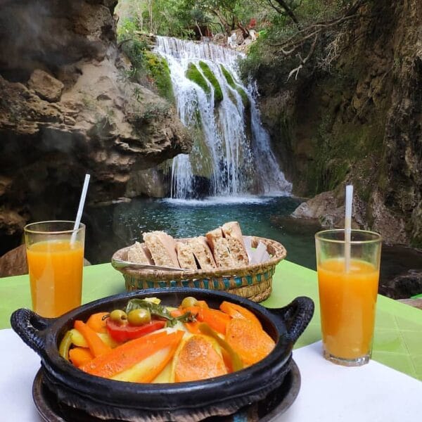 One-Day Excursion to the Ourika Valley from Marrakech