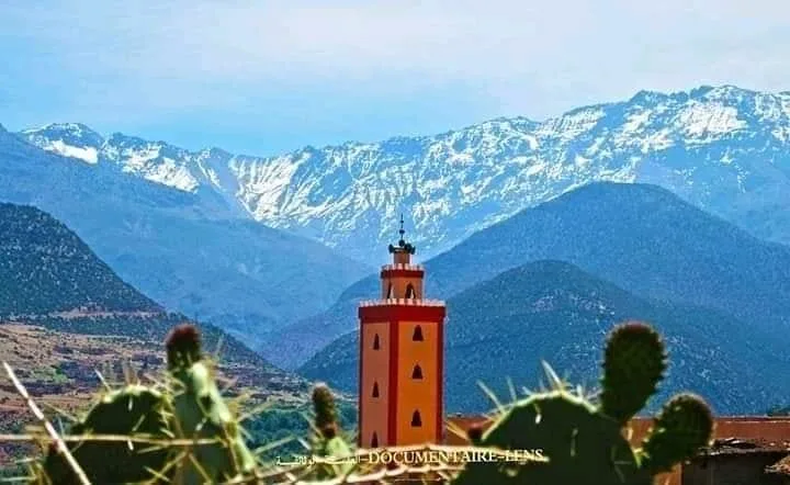 WhatsApp Image 2023 06 04 at 02.21.13 1 1