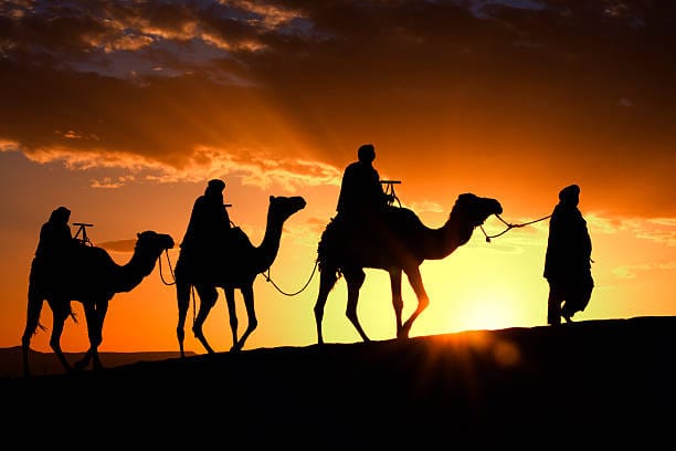 camel treking.jpg