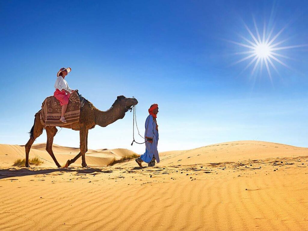 guided camel ride under the moroccan sun.jpg