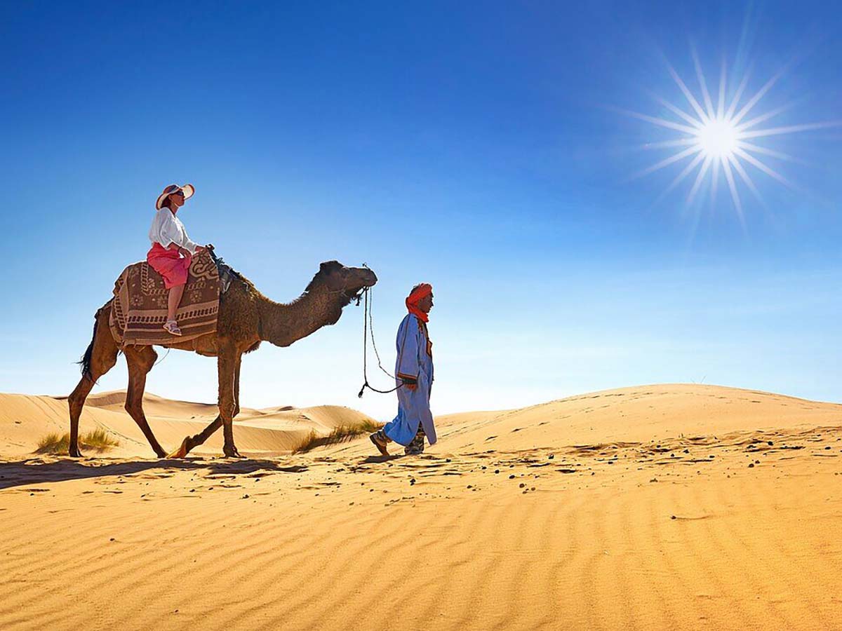 guided camel ride under the moroccan sun.jpg