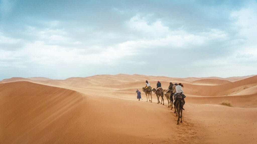 from dunes to dawn the ultimate desert experience