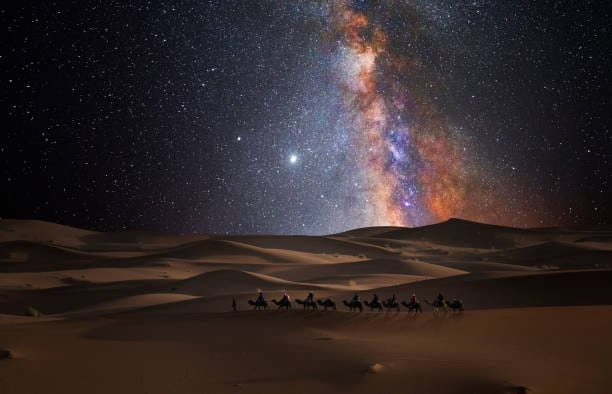 camel caravan in the desert under the stars