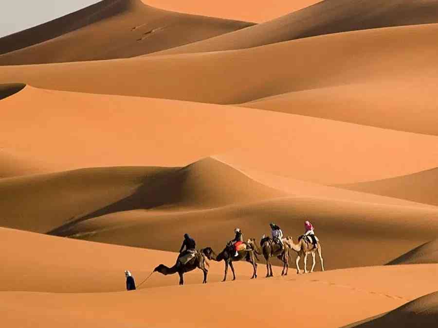 sahara desert tour from fes to marrakech 4 days 157347466.jpg