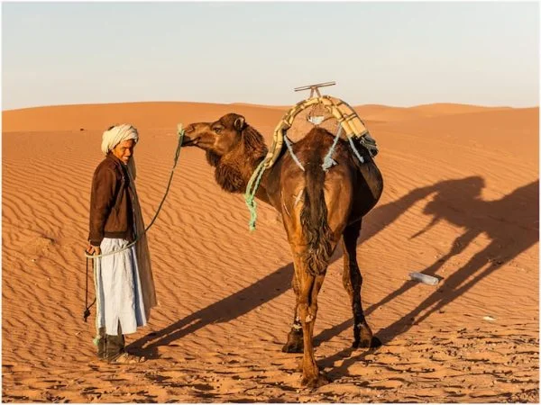 daily departures from marrakech