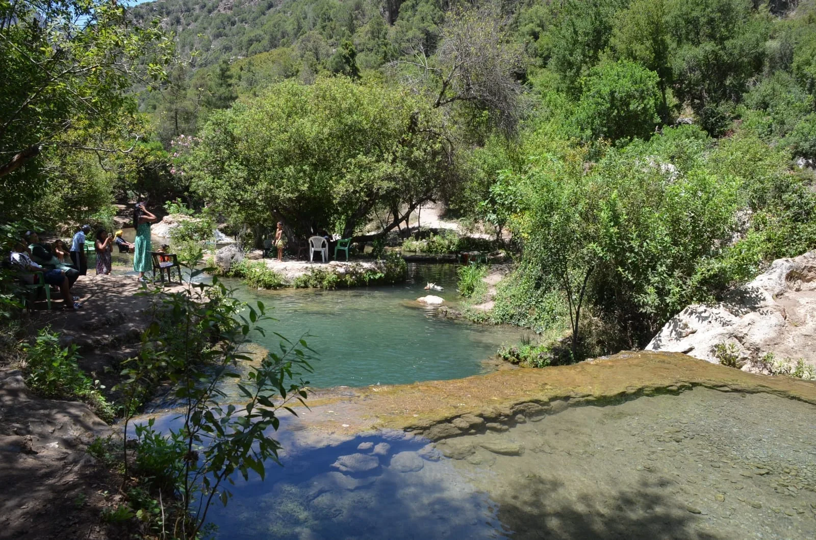 whatsapp image 2024 04 07 at 01.44.01 1