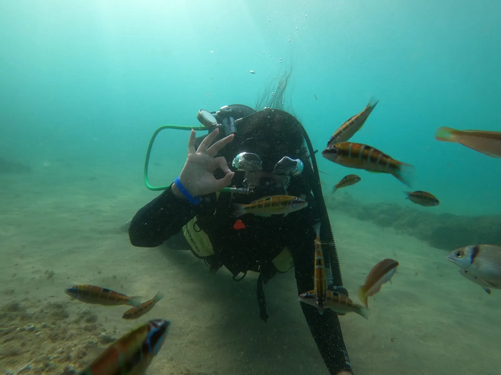 whatsapp image 2024 04 07 at 01.44.02 3