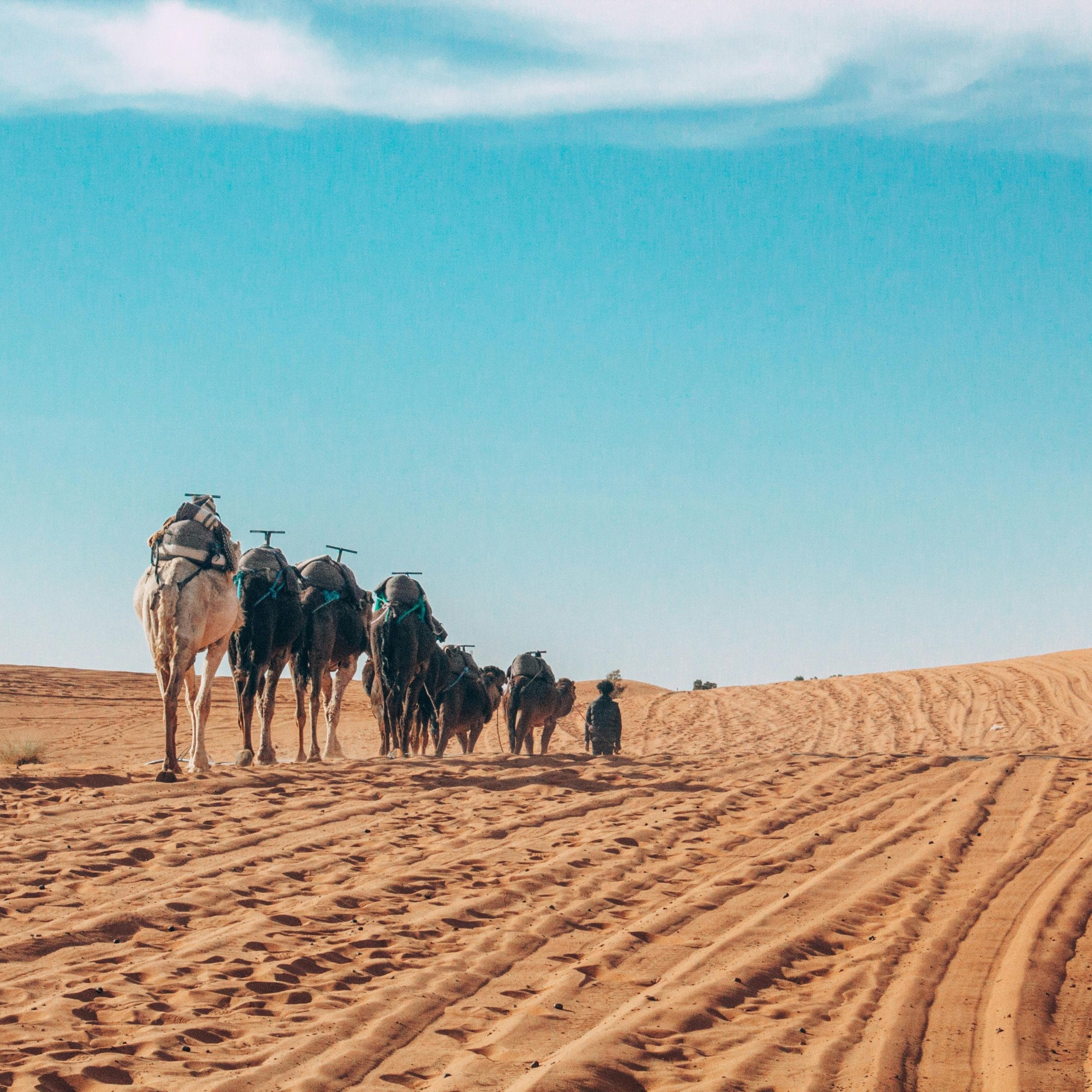 pexels abdelaziz baba 4694813 scaled