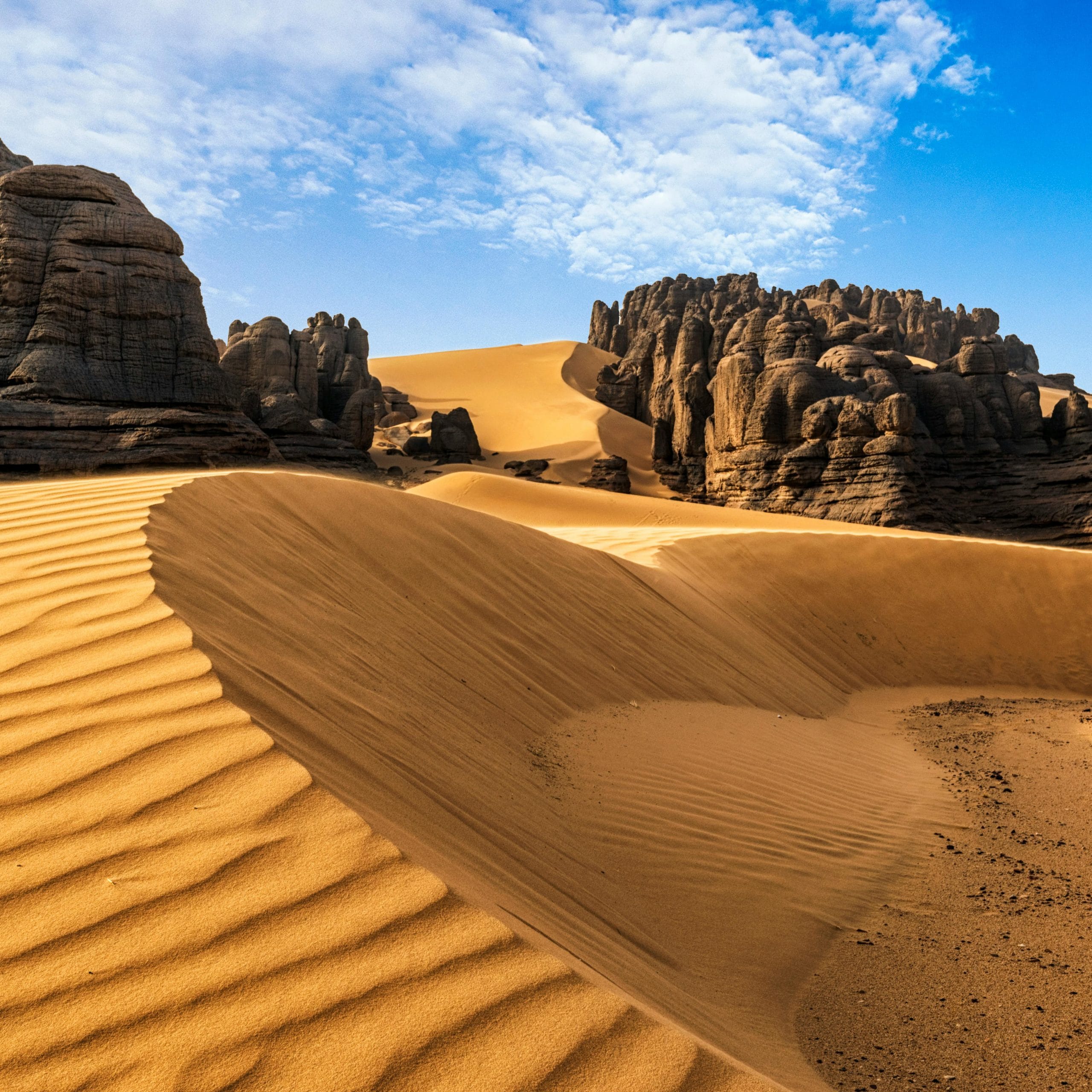 pexels noureddine belfethi 8581676 scaled