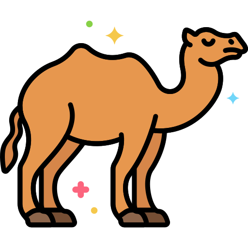 camel