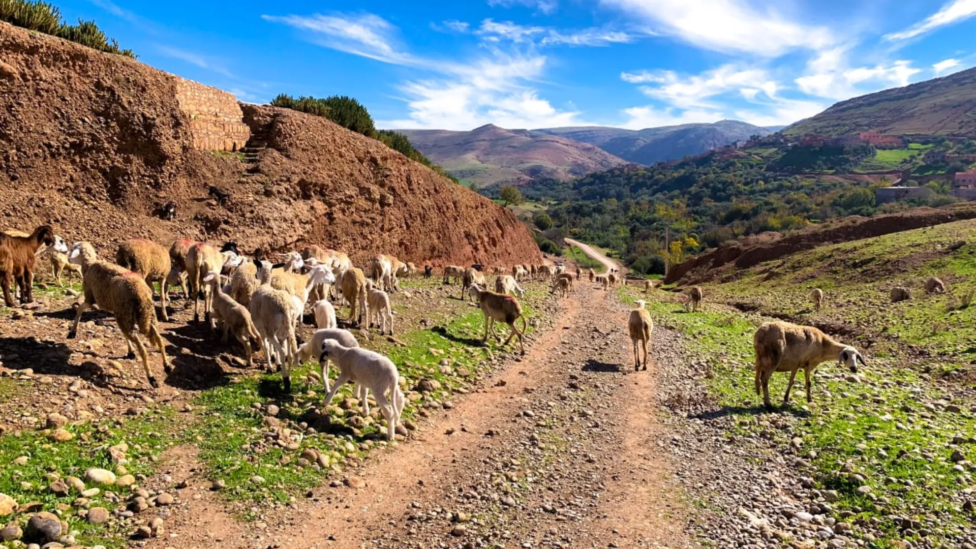 bzou ayt mouli adventure