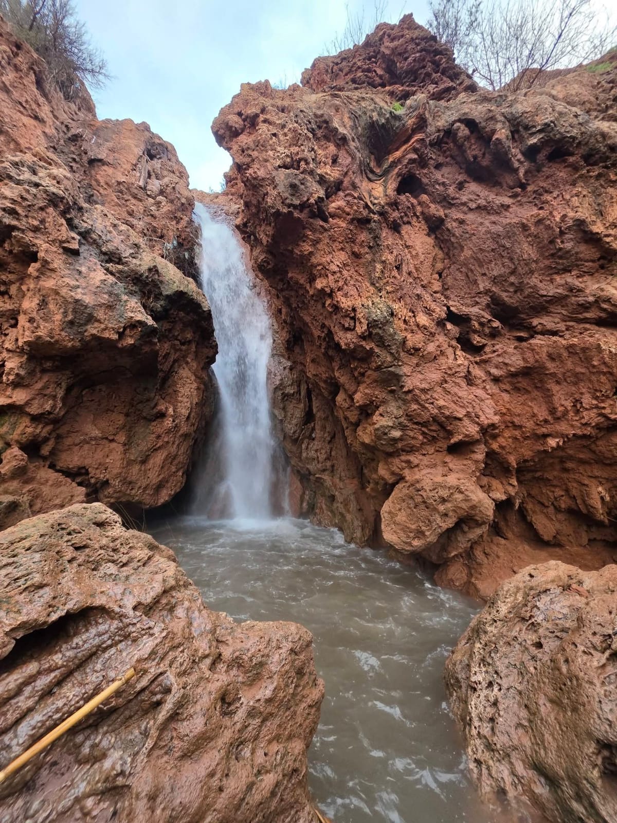 whatsapp image 2026 02 11 at 8.23.41 pm