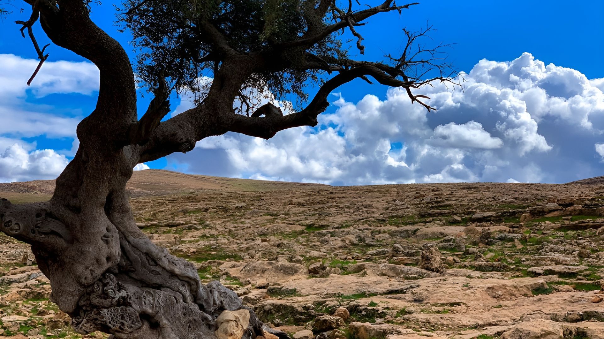 trip to bzou ayt mouli adventure tour​