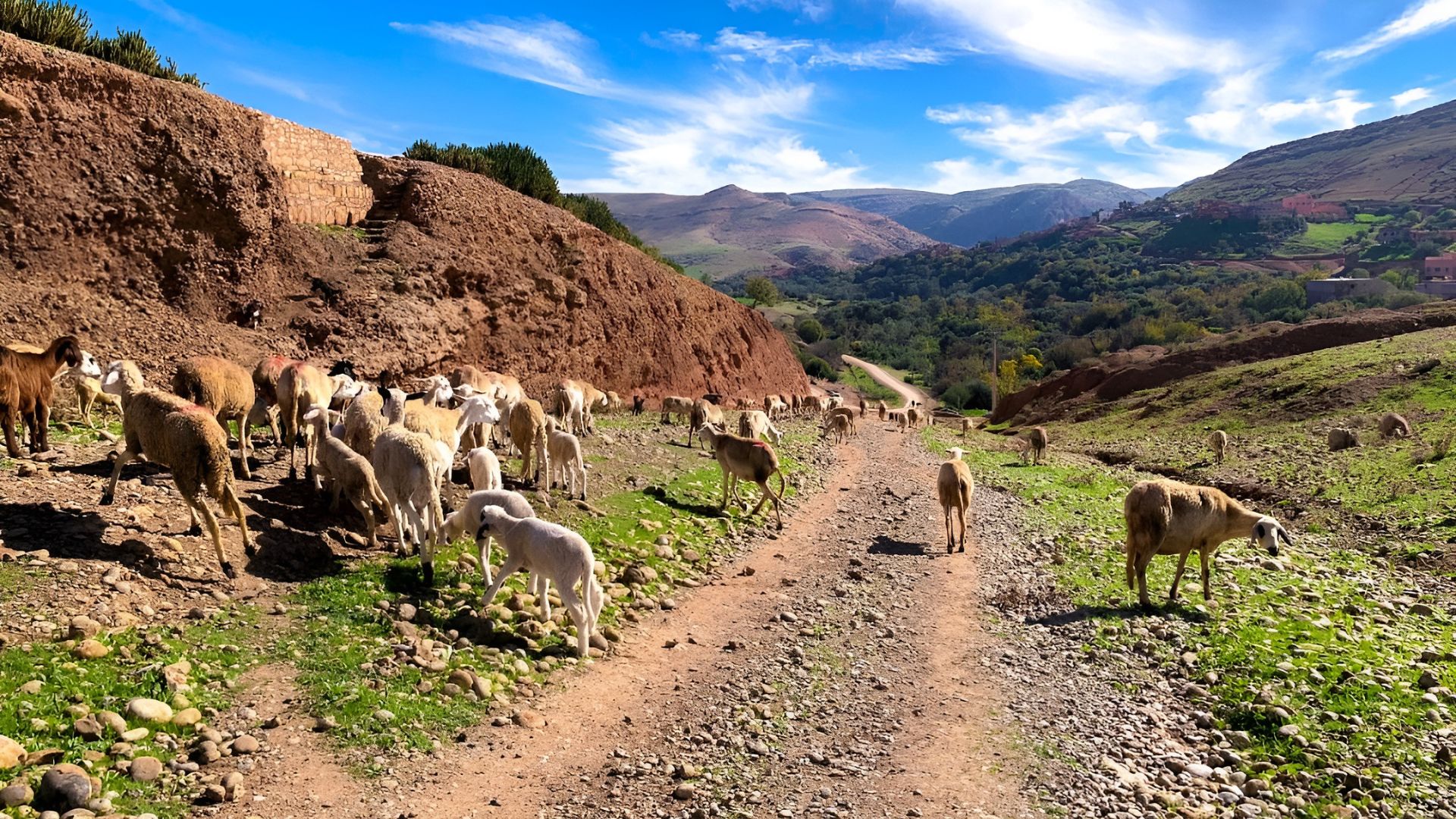 visit bzou ayt mouli adventure